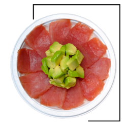 Chirashi thon avocat 10T