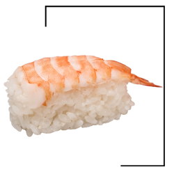 Sushi nigiri crevette